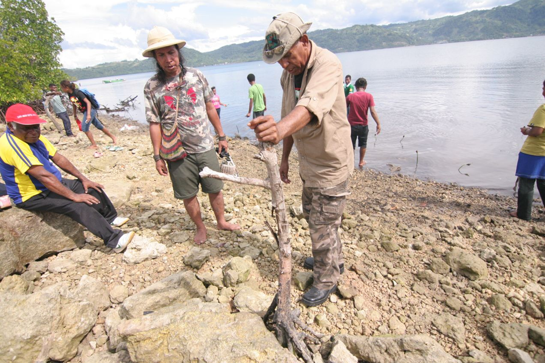 Fredy Wanda, Andre Liem